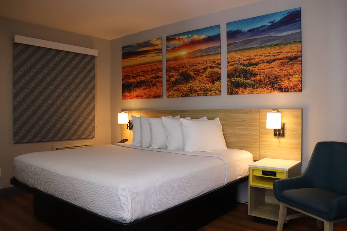 Room, 1 King Bed, Non Smoking