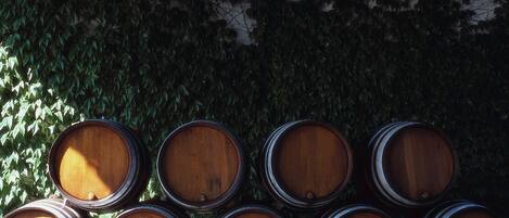 Wooden barrels stacked against a wall with ivy.