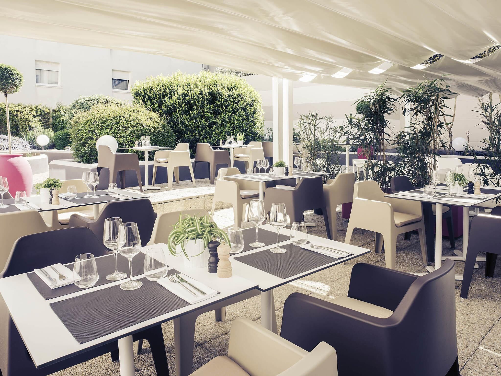 lunch and dinner served