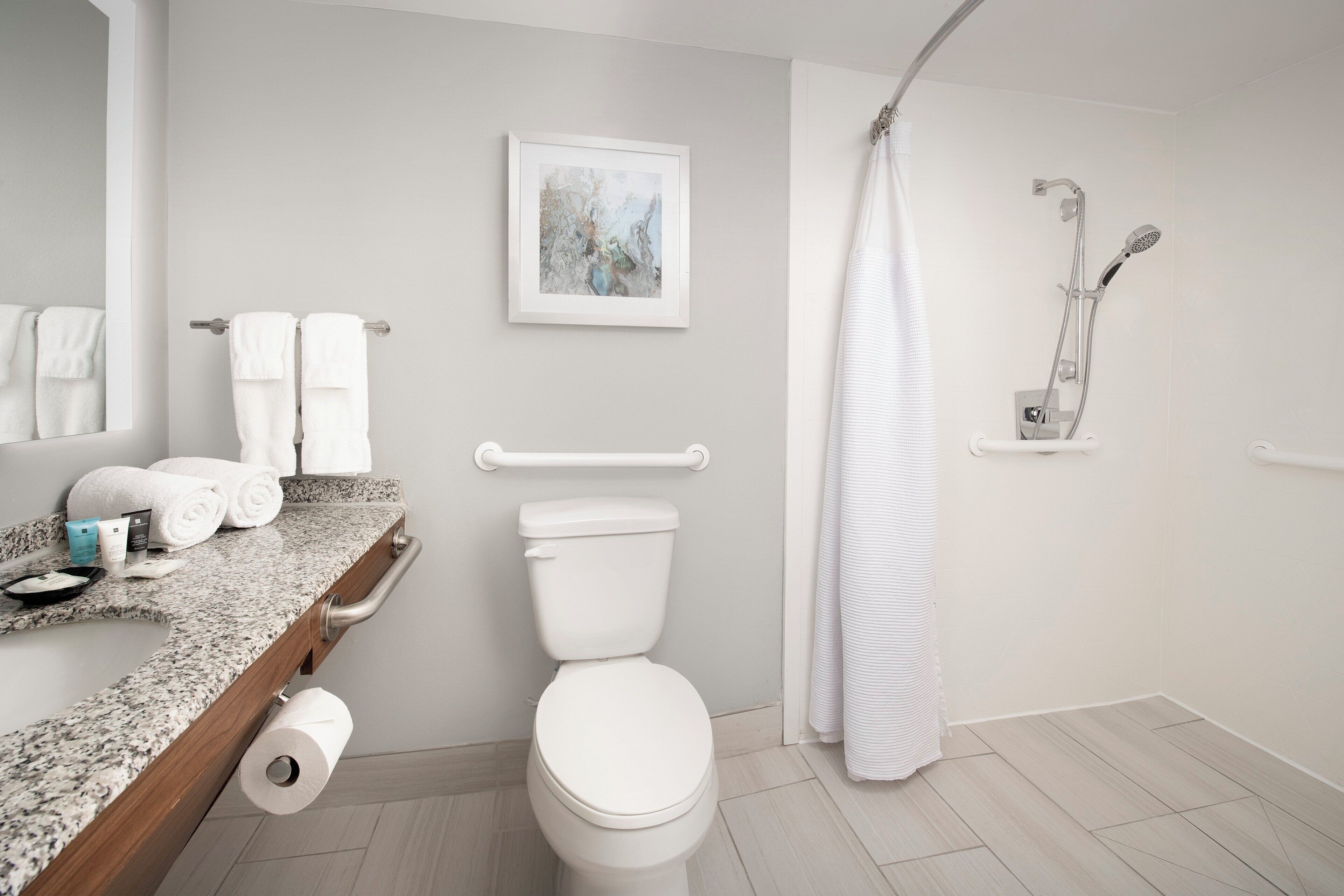 A bathroom with a toilet, a shower, a towel rack, and a framed picture on the wall.