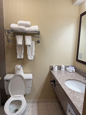 Presidential Suite, 1 King Bed, Non Smoking | Bathroom