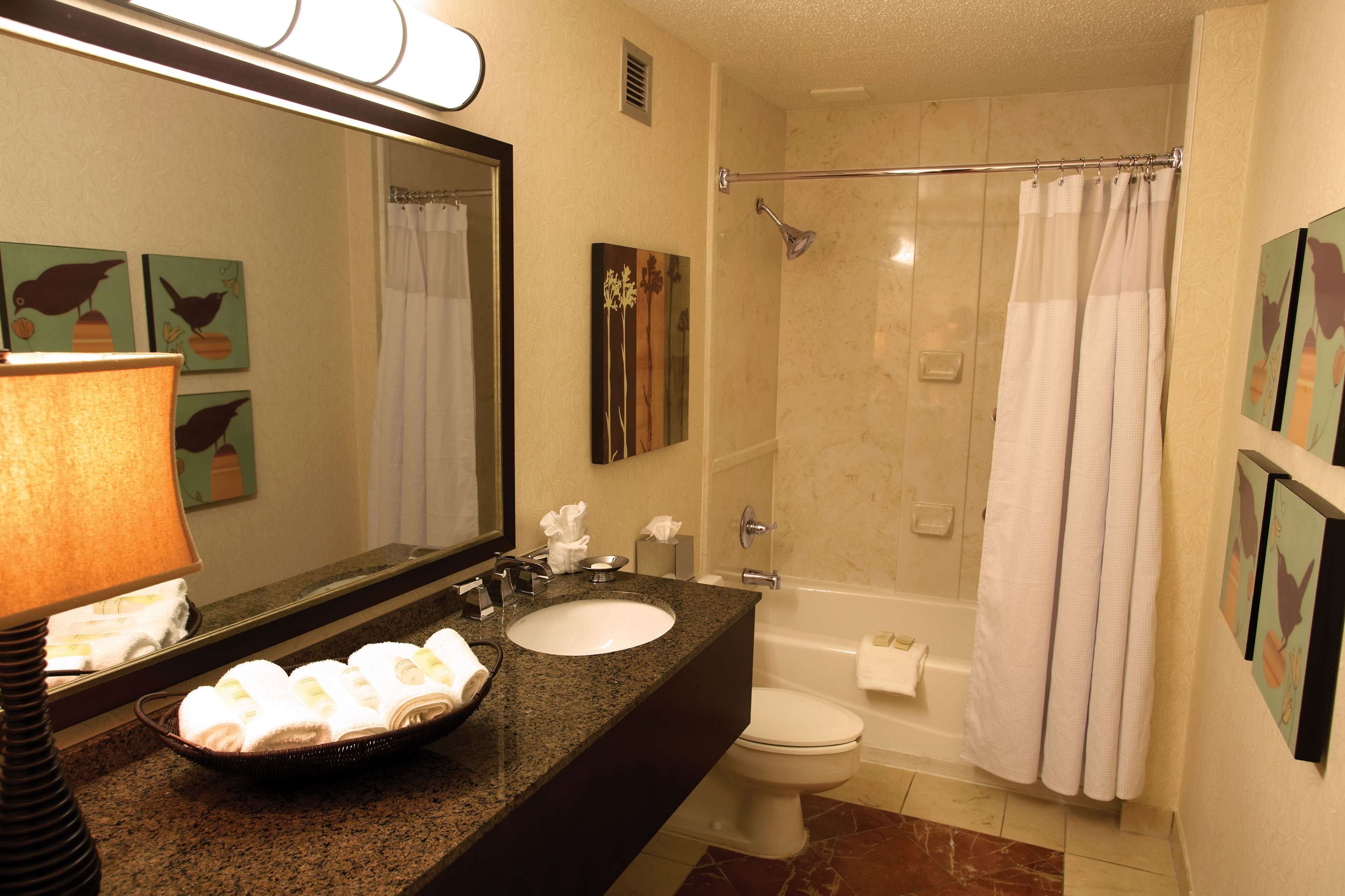 suite, 1 king bed (one bedroom) | bathroom | free toiletries, hair dryer, towels