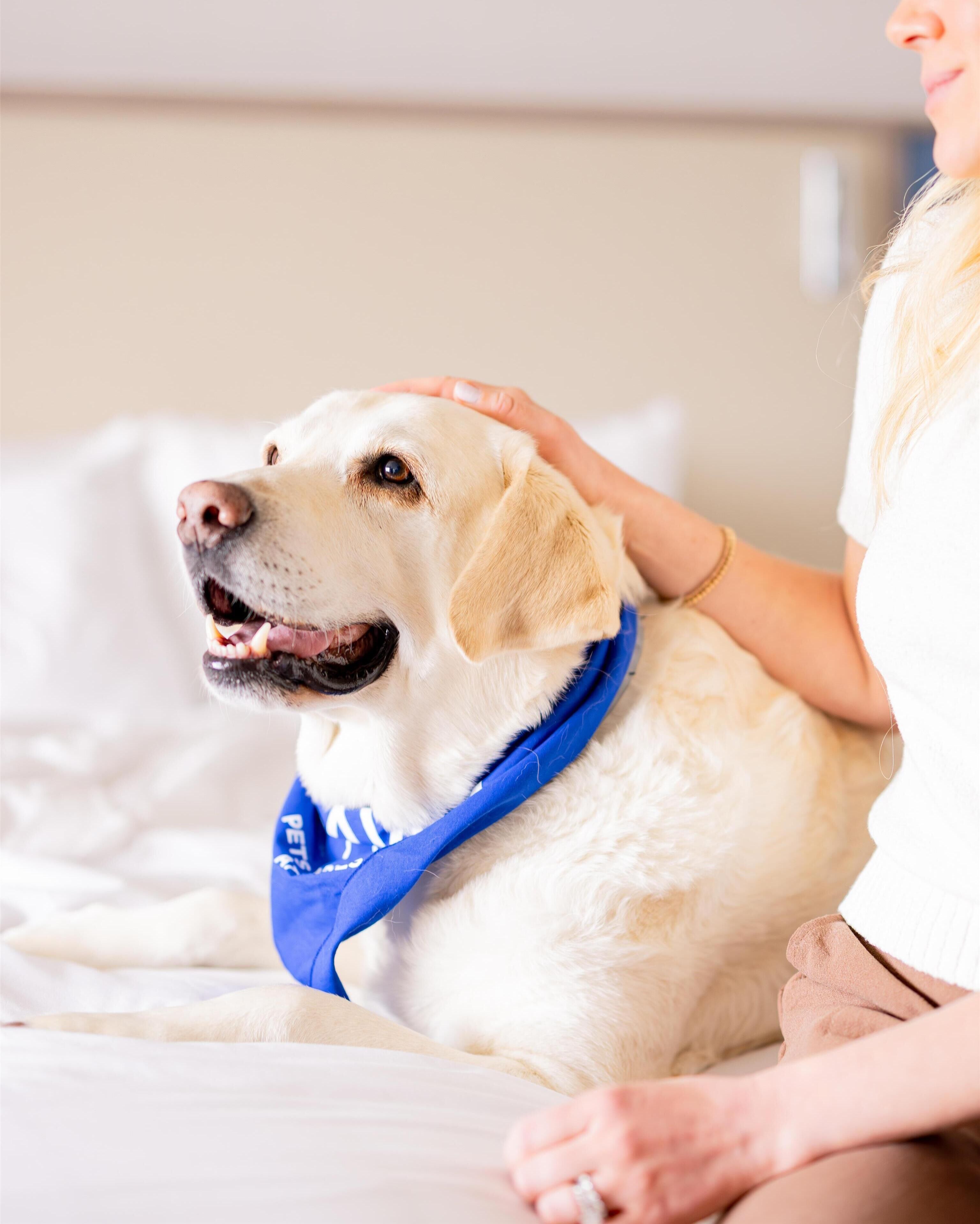 pet-friendly amenities