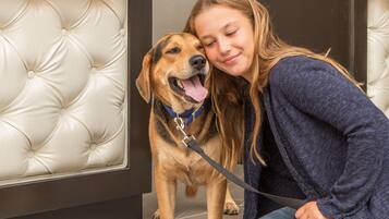 A reception area with a tufted leather wall, a blue pet bowl, and a dog on a leash.
