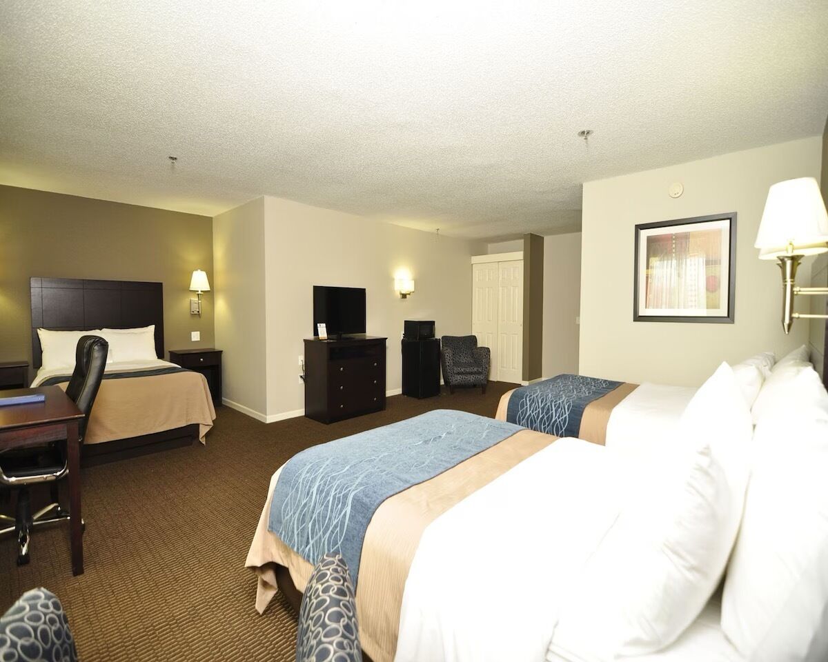 A hotel room with two beds, a desk, a chair, a TV, a dresser, and a lamp.