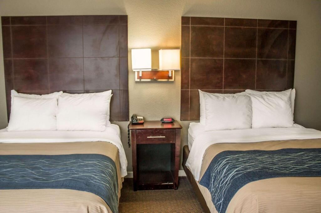 Premium bedding, desk, laptop workspace, blackout drapes