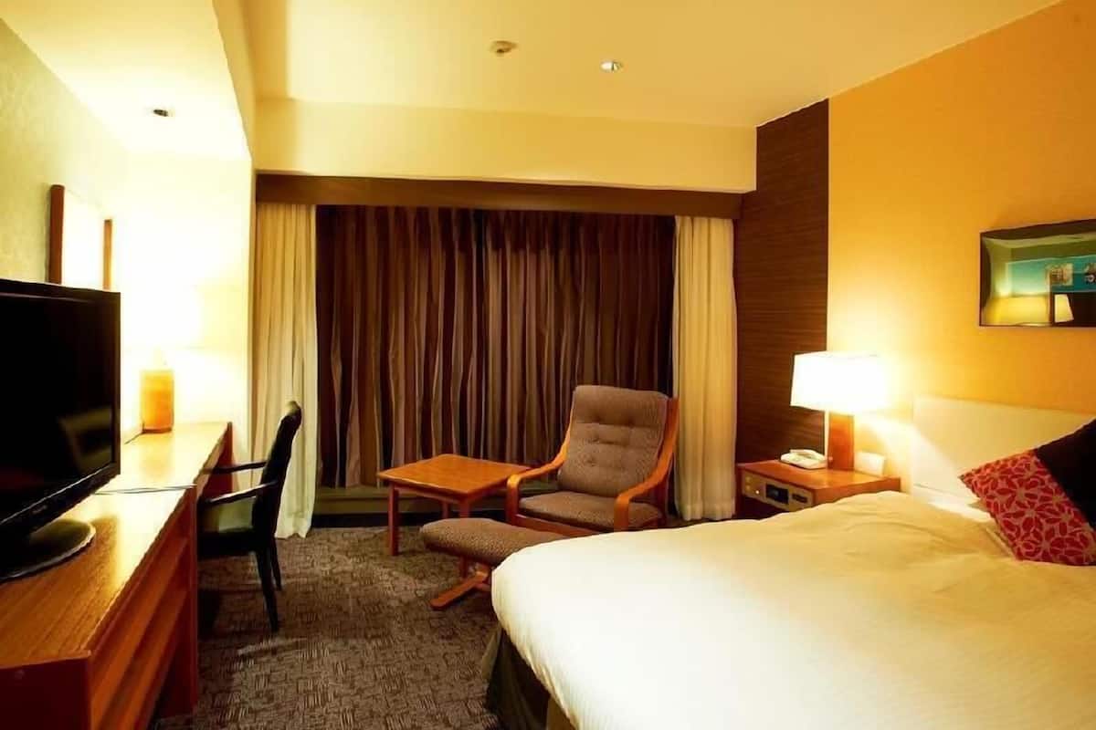 Escritorio, wifi gratis, ropa de cama y despertador