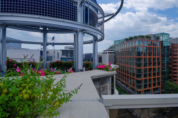 Vista desde la propiedad