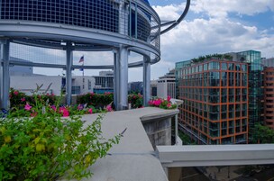 Vista desde la propiedad