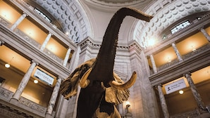 A grand interior with a large elephant sculpture, ornate columns, and signs indicating different exhibit areas. - The Beacon at Embassy Row, WorldHotels Distinctive (Washington)