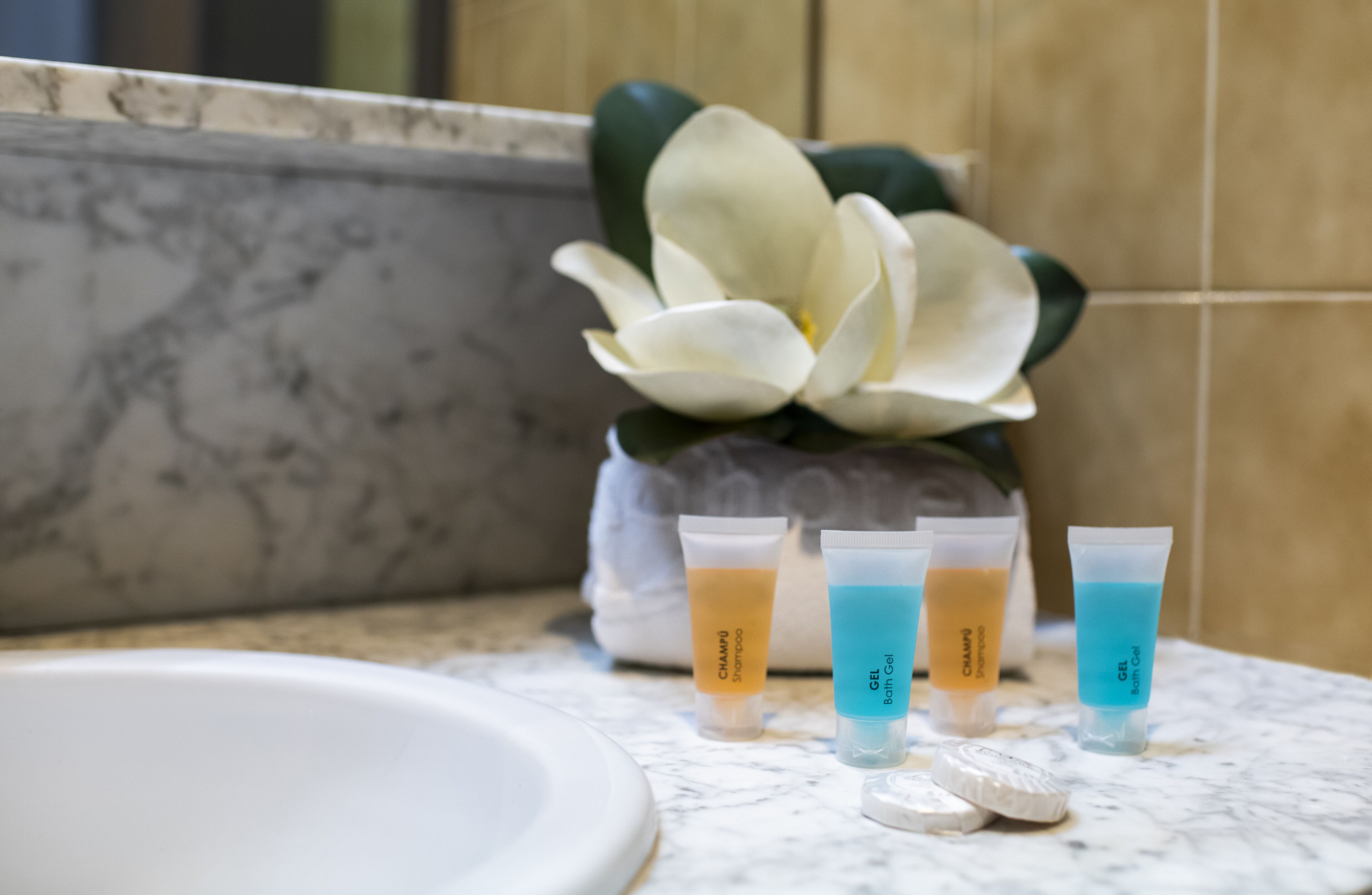 Foto - B&B HOTEL Zaragoza Royal