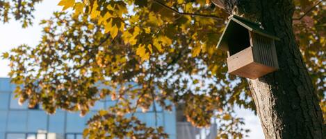 Ein Baum mit einem Vogelhaus.