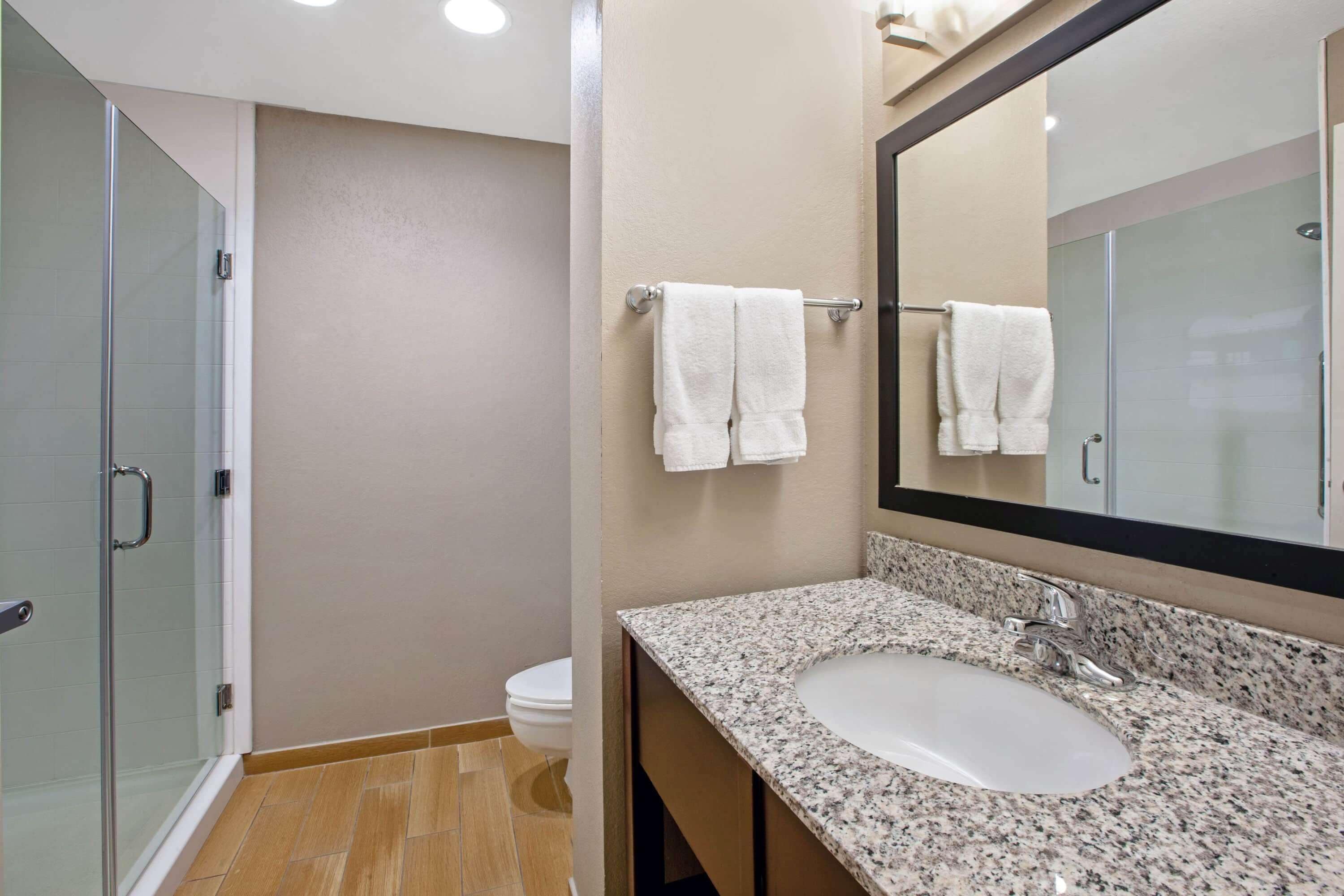 A modern bathroom with a glass shower enclosure, a white sink with a granite countertop, and a large mirror above the sink.