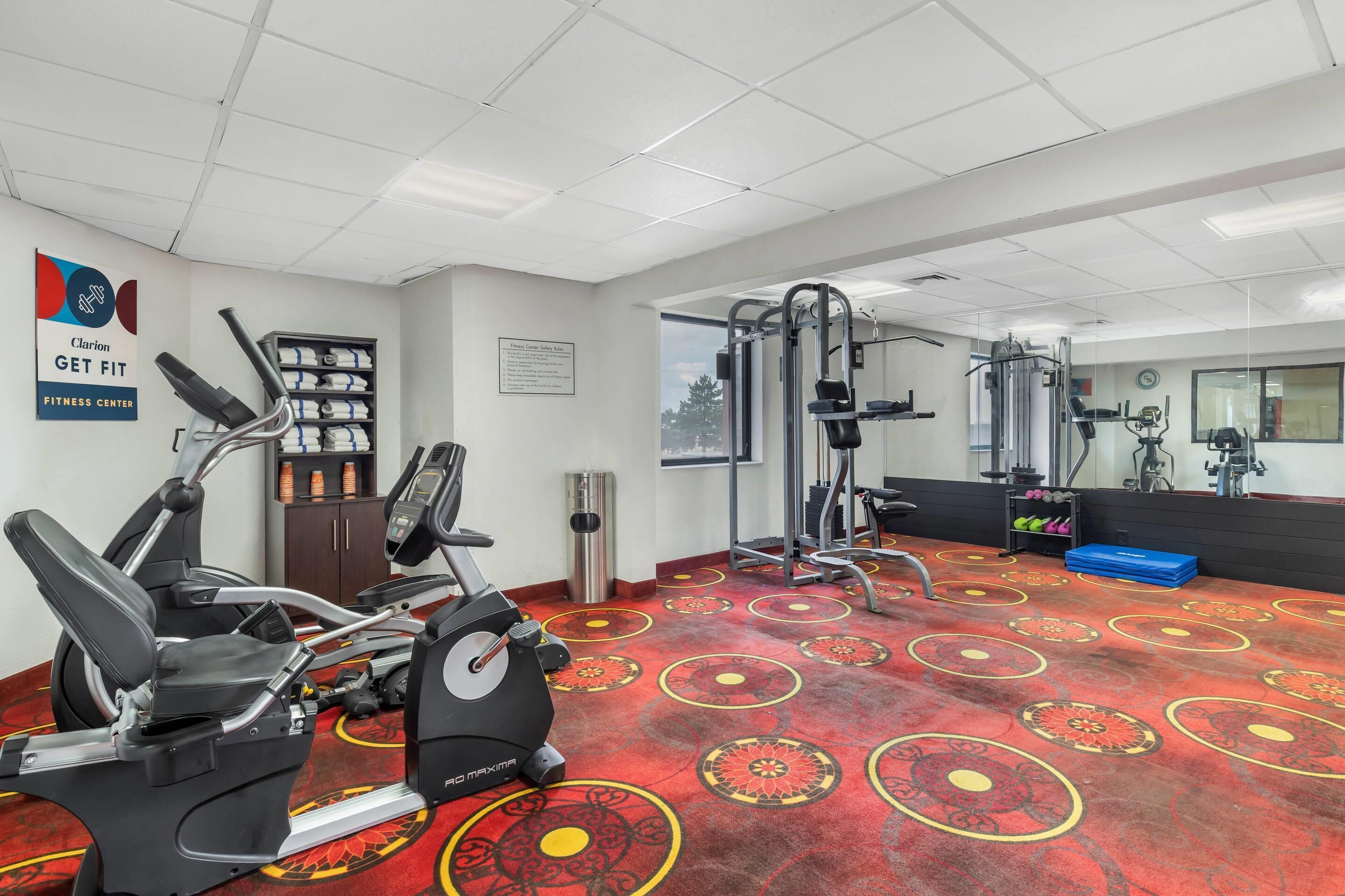 Une salle de sport équipée de machines de cardio, de matériel de musculation et dotée d’un tapis à motifs.