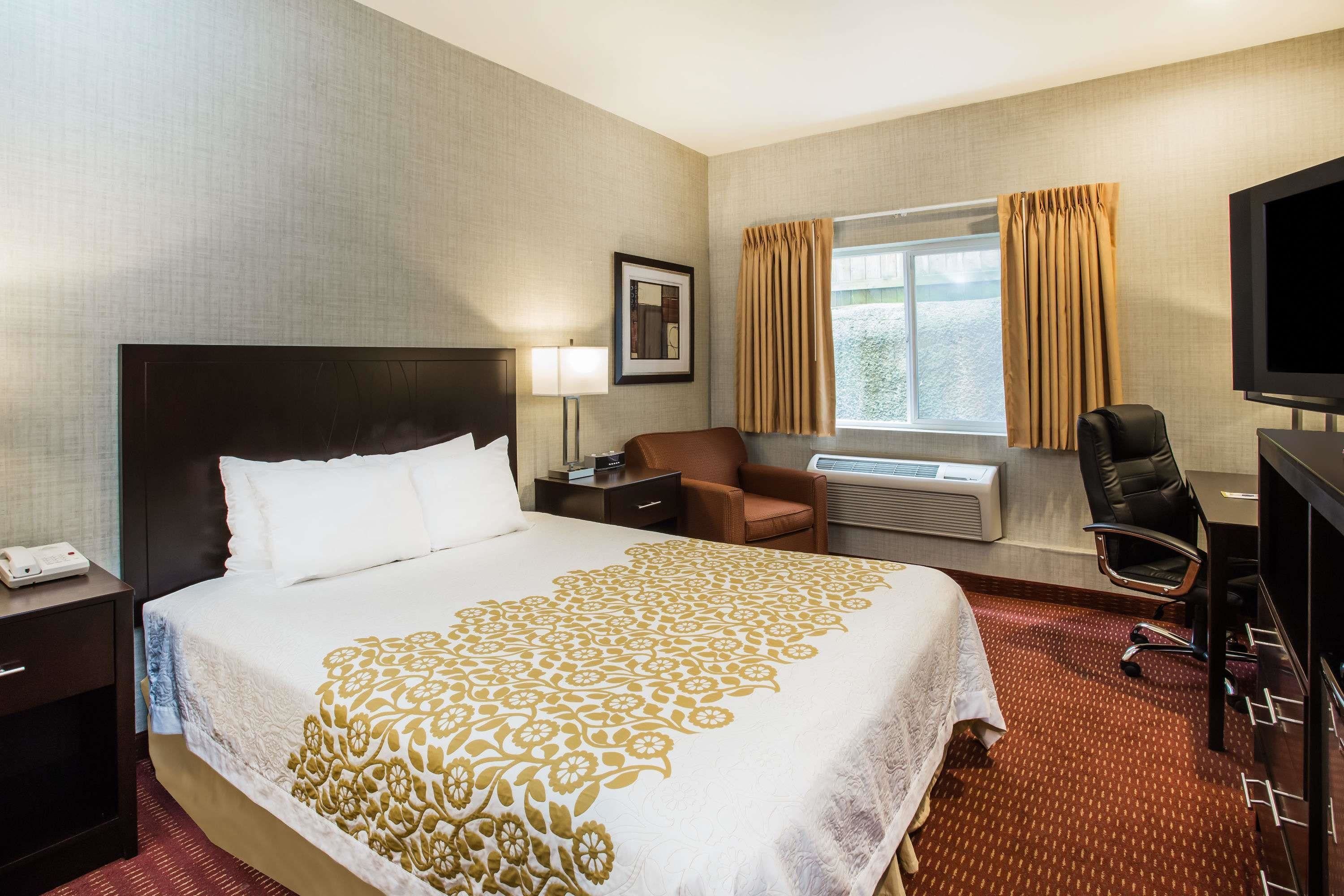 A hotel room with a large bed, a desk, a chair, a TV, and a window with curtains.