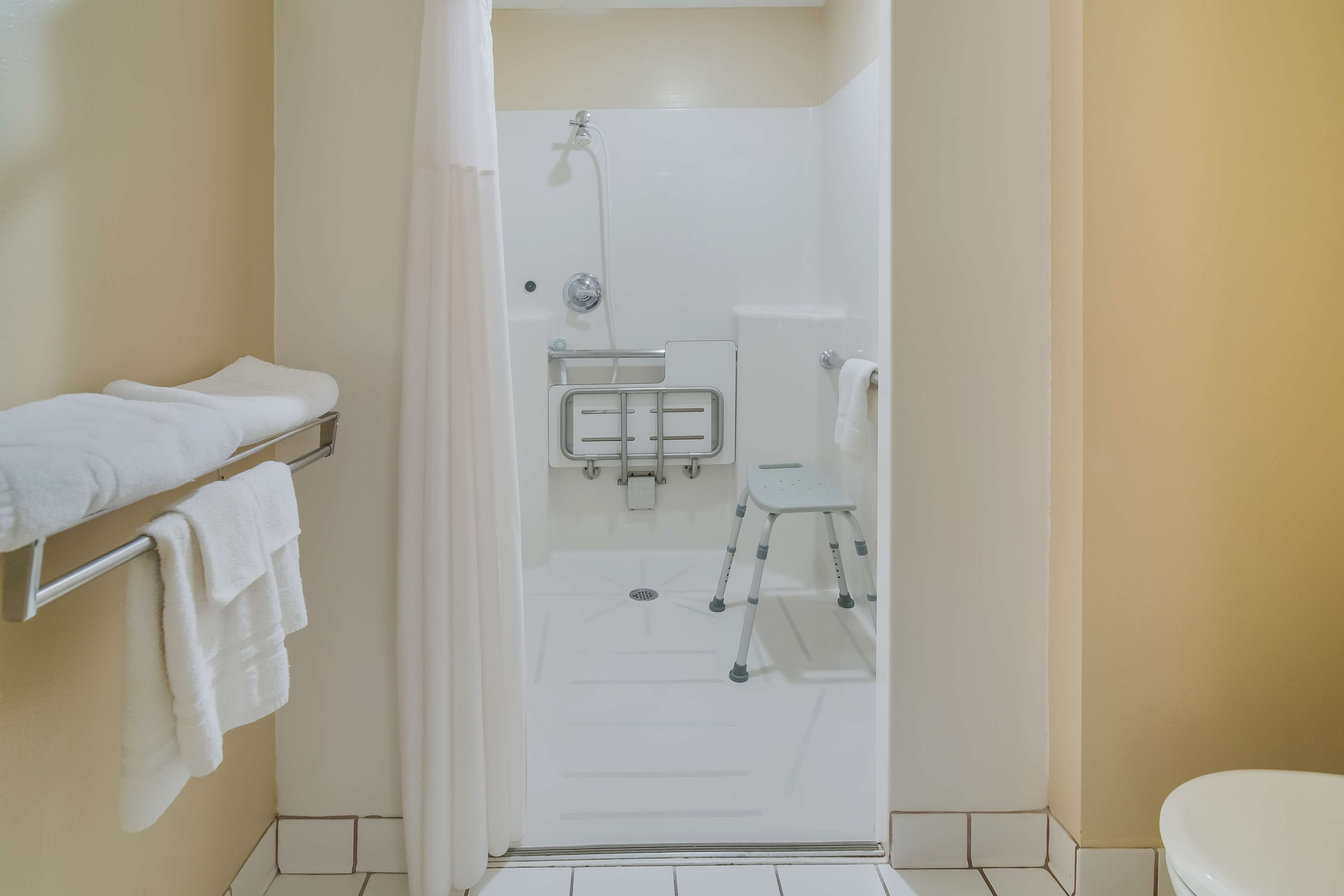 room, 1 queen bed, accessible, non smoking | bathroom | rainfall showerhead, eco-friendly toiletries, hair dryer, towels