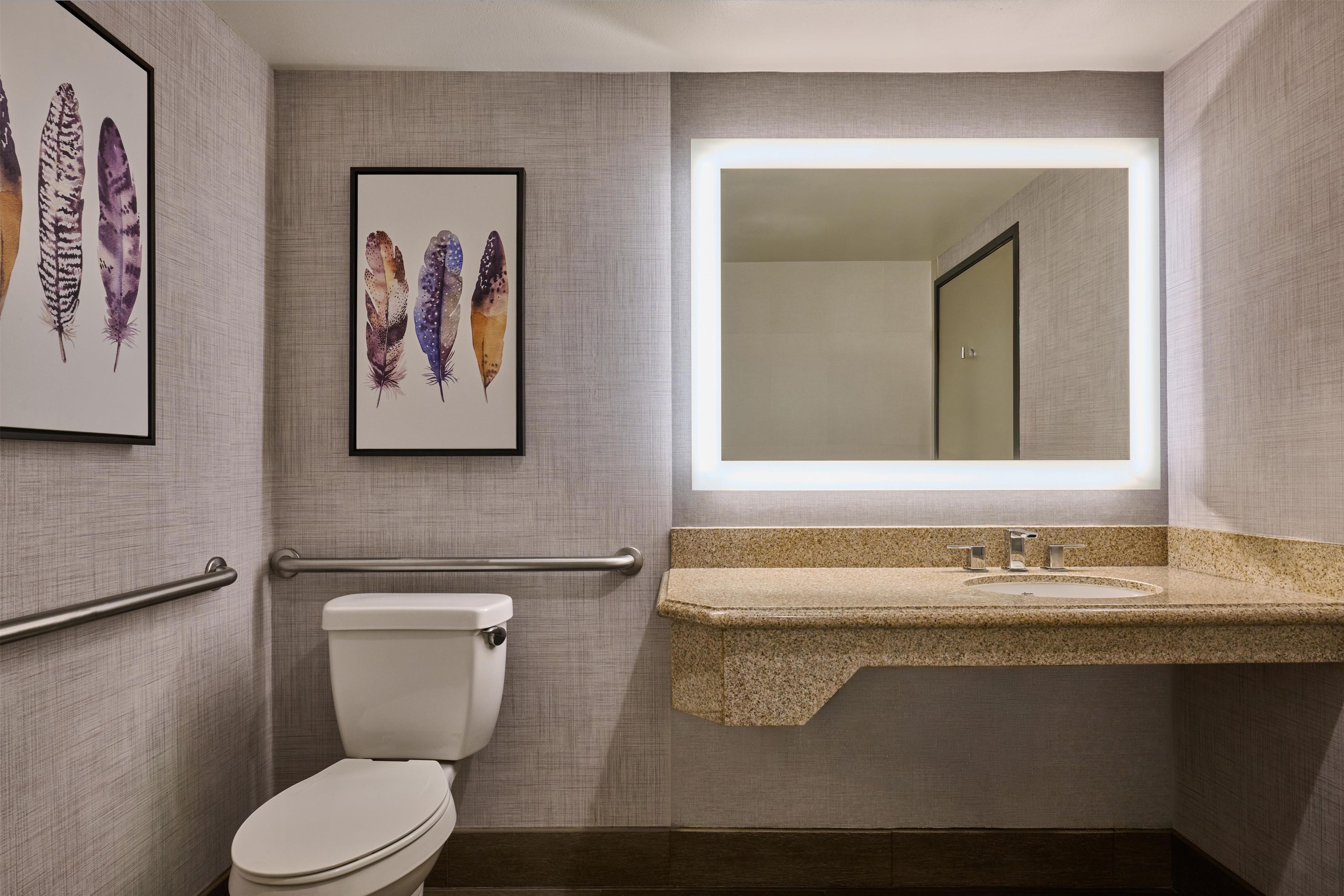 A bathroom with a toilet, a sink with a mirror, and two framed feather artworks on the wall.