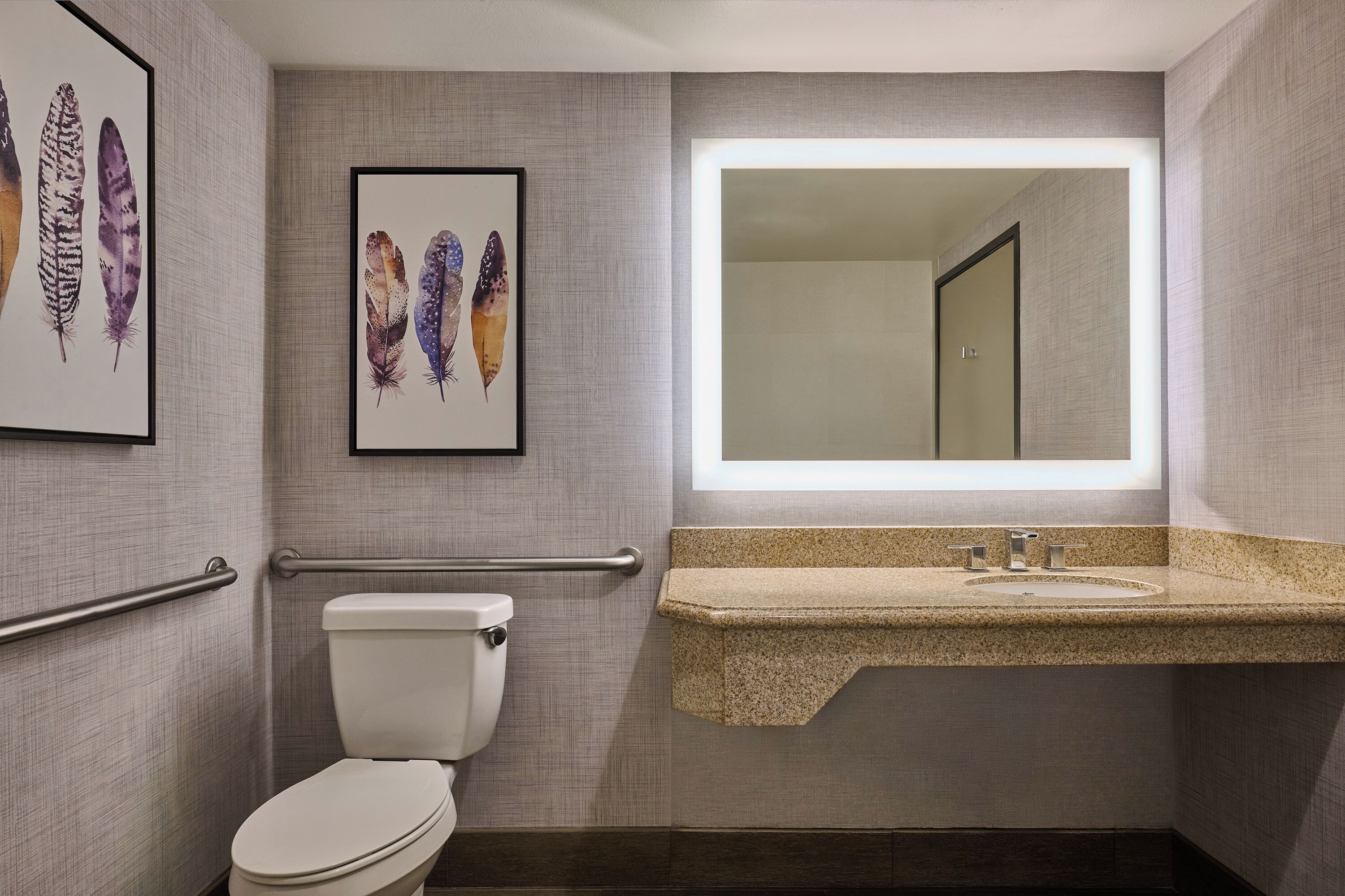 Un baño con inodoro, un lavamanos con encimera de granito, un espejo con luz y dos obras de arte con plumas enmarcadas en la pared.