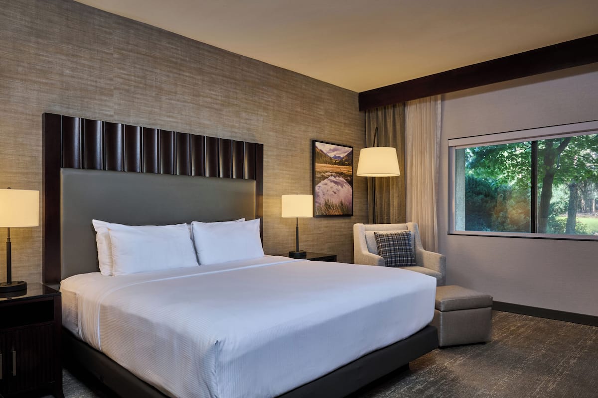 Room, 1 King Bed | In-room safe, desk, blackout drapes, iron/ironing board