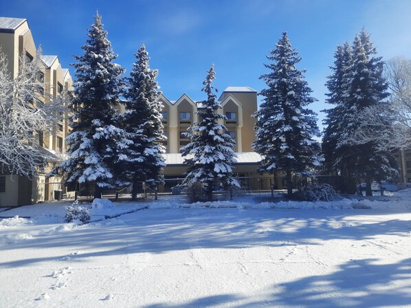 A snow-covered courtyard with tall evergreen trees and a multi-story building with a flat roof. - DoubleTree by Hilton Hotel Flagstaff (Flagstaff)