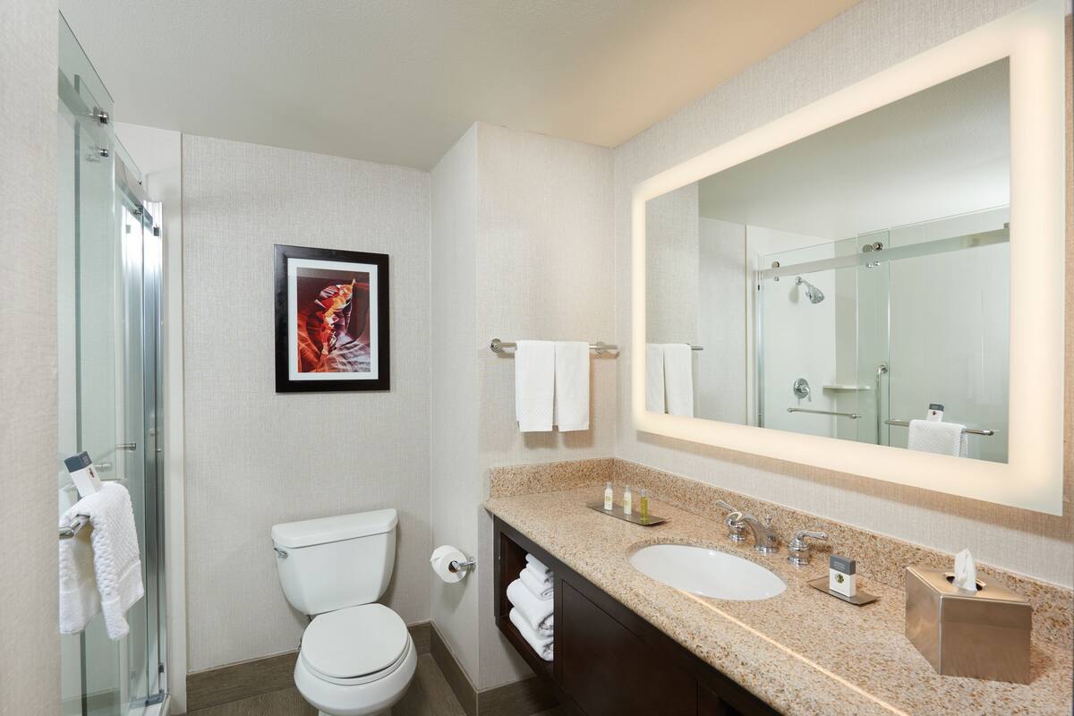 free toiletries, hair dryer, towels, soap