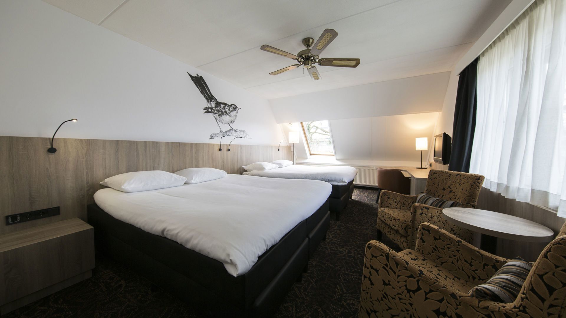 Bàn, bàn ủi/dụng cụ ủi quần áo, truy cập Internet không dây miễn phí 