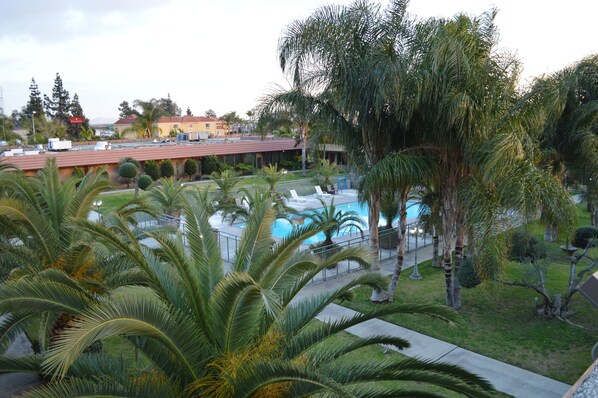 Chambre Exécutive, 1 très grand lit, balcon, vue piscine | Balcon