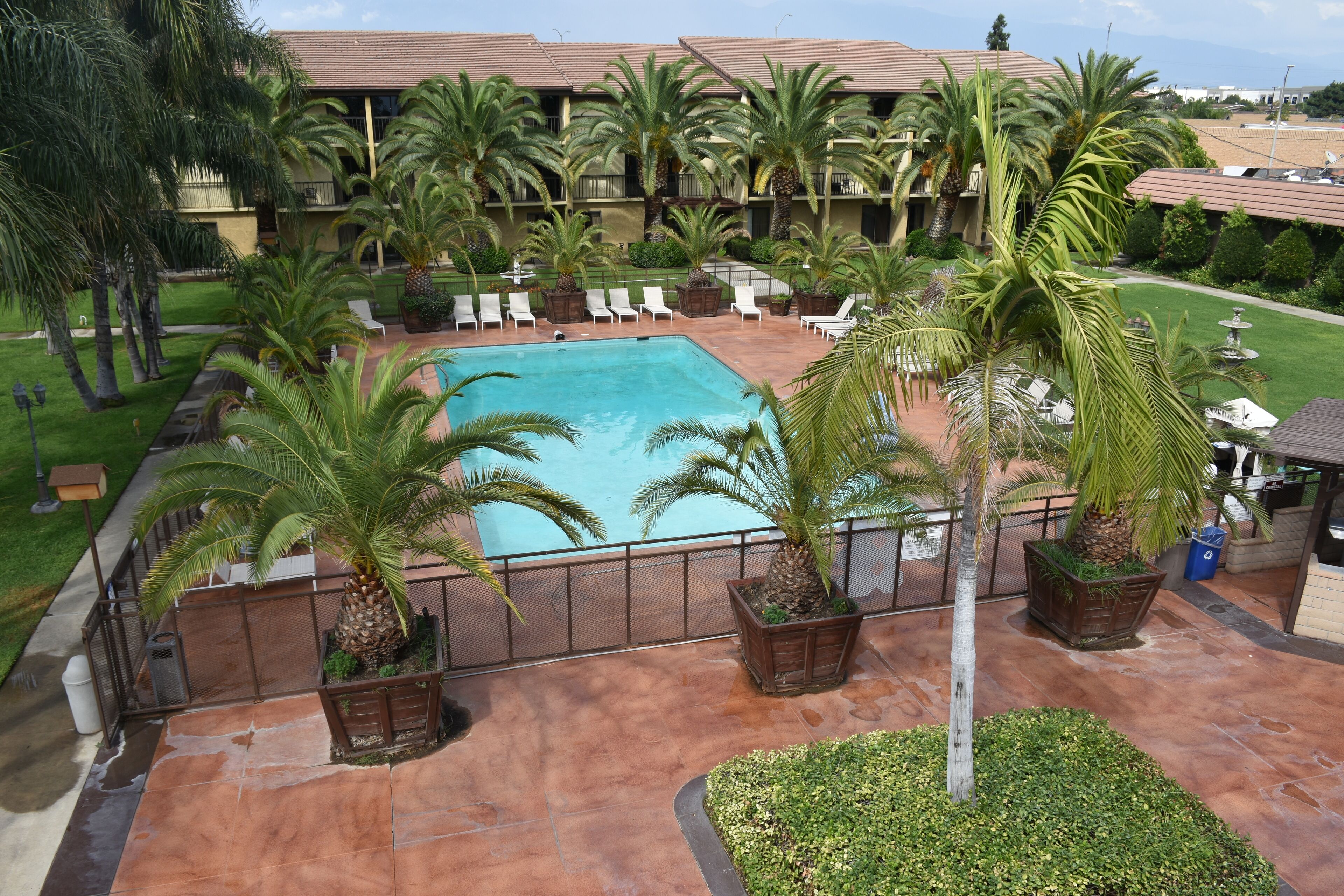 outdoor pool, pool loungers