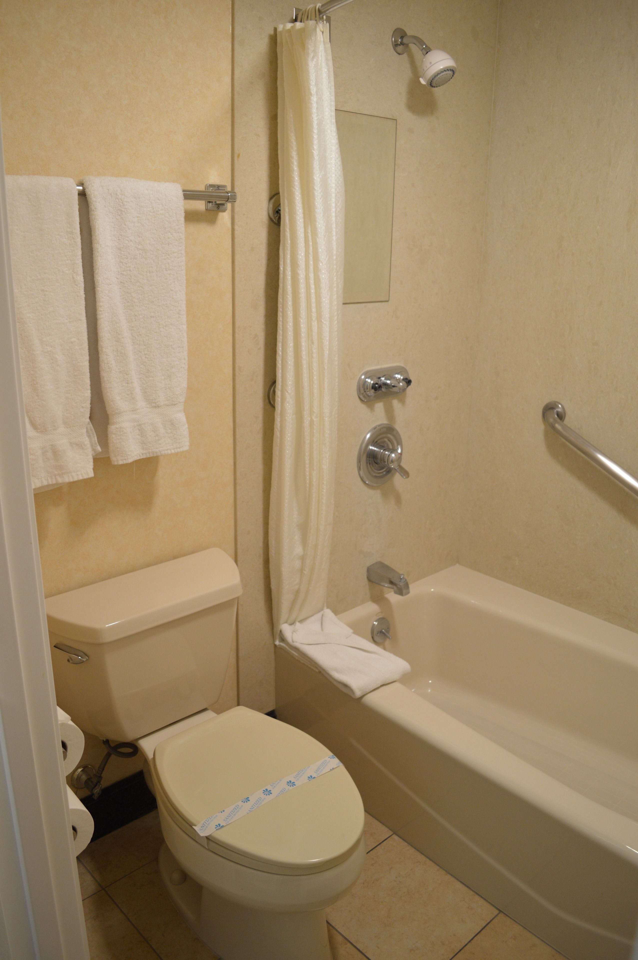 A bathroom with a toilet, a bathtub, and a shower curtain.