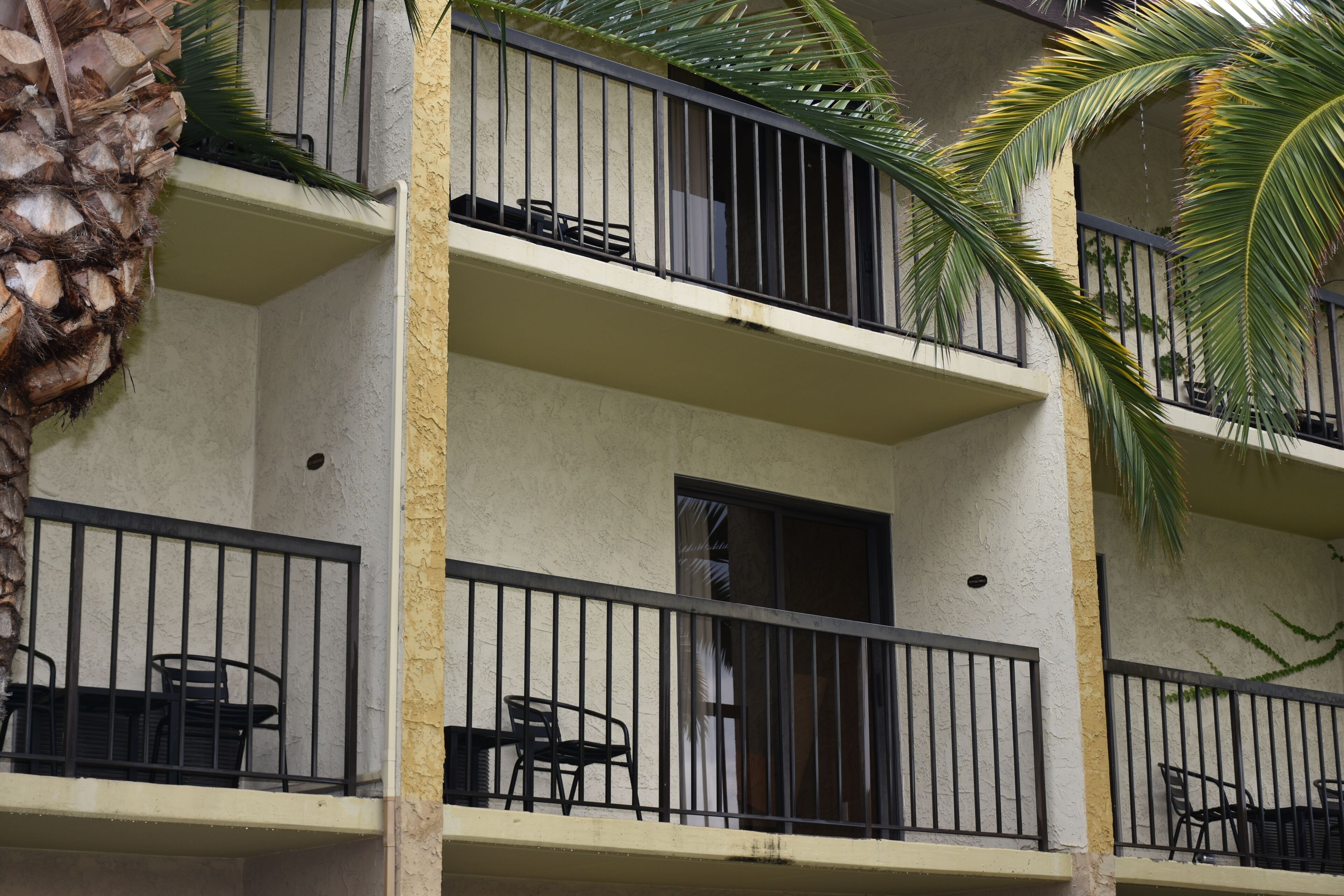 executive room, 1 king bed, balcony, pool view | balcony