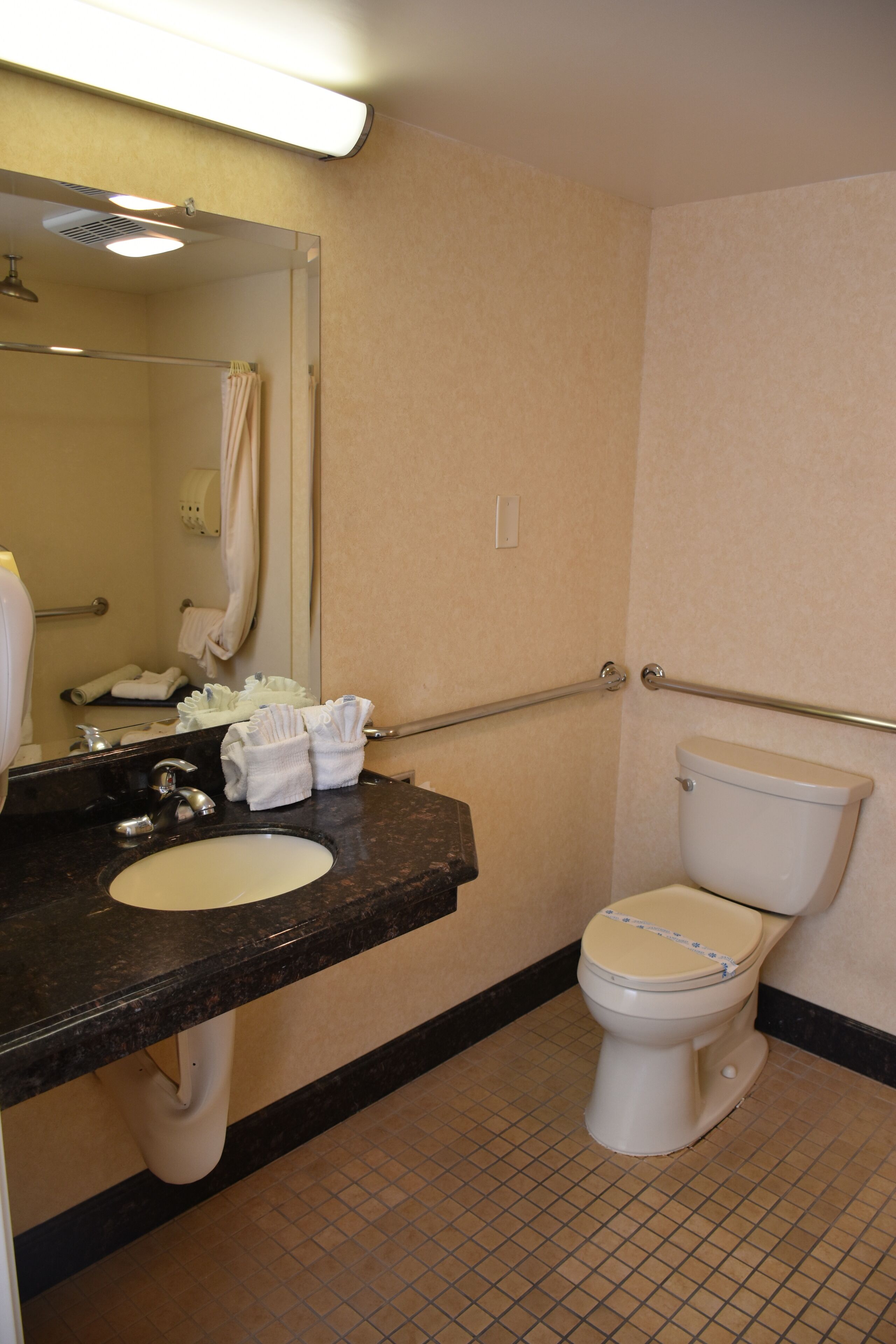 deluxe room, 1 king bed, accessible | bathroom | combined shower/bathtub, hydromassage showerhead, free toiletries