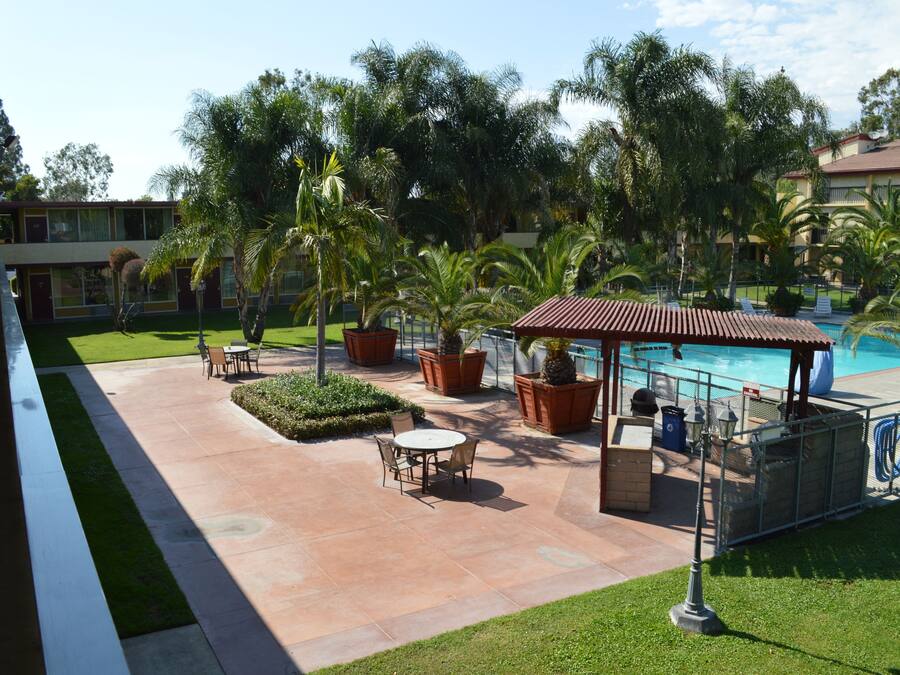 Un área junto a la piscina con un quiosco, asientos exteriores y plantas en macetas.
