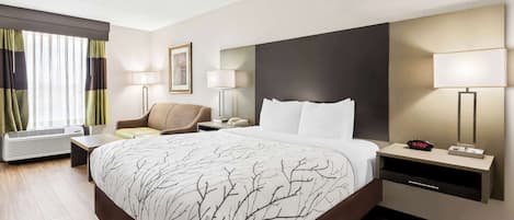 Habitación estándar, 1 cama Queen size, con acceso para personas discapacitadas, tina | Escritorio y espacio para trabajar con laptop