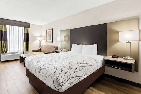 Standard Room, 1 Queen Bed, Accessible, Bathtub | Desk, laptop workspace, iron/ironing board, free cribs/infant beds