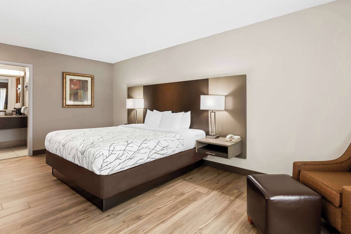 standard room, 1 king bed, non smoking, refrigerator & microwave | desk, laptop workspace, iron/ironing board, free cots/infant beds