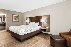 Standard Room, 1 King Bed, Non Smoking, Refrigerator & Microwave | Desk, laptop workspace, iron/ironing board, free cribs/infant beds