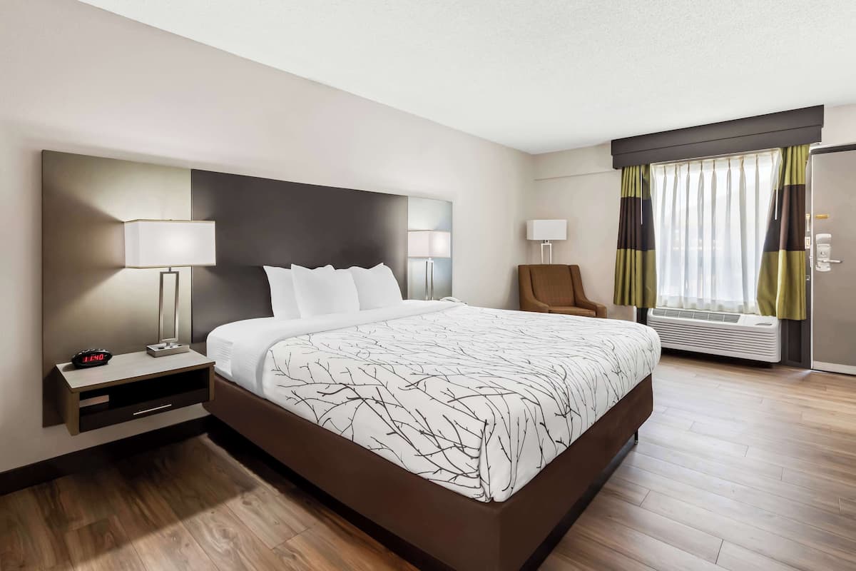 Standard Room, 1 King Bed, Non Smoking, Refrigerator & Microwave | Desk, laptop workspace, iron/ironing board, free cribs/infant beds