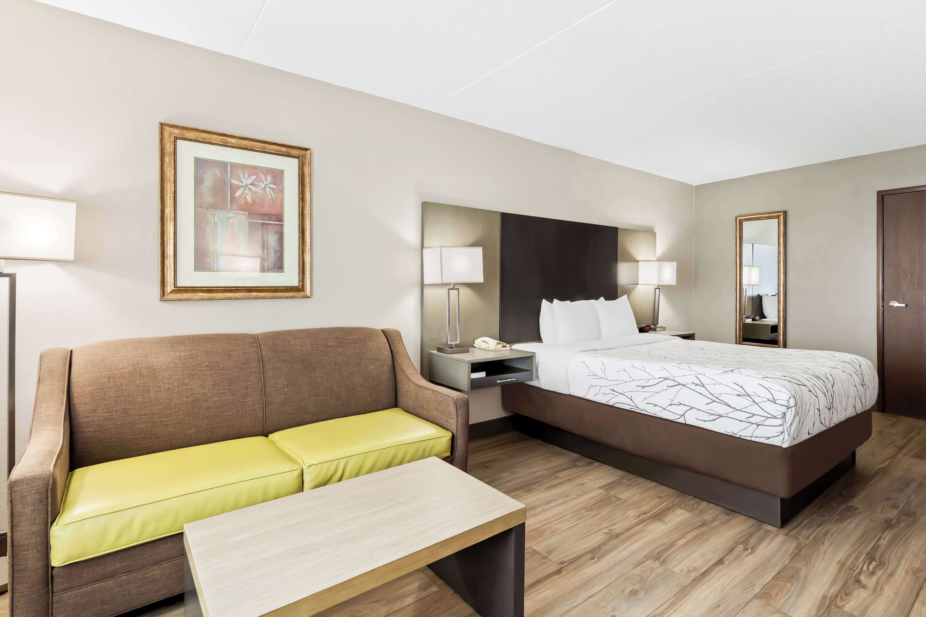 standard room, 1 queen bed, accessible, bathtub | desk, laptop workspace, iron/ironing board, free cots/infant beds