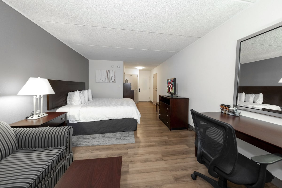 A hotel room with a bed, a desk, a chair, a sofa, a dresser, and a mirror.