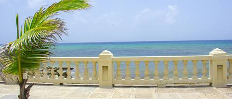 A tiled balcony with a palm tree, overlooking a clear blue sea.