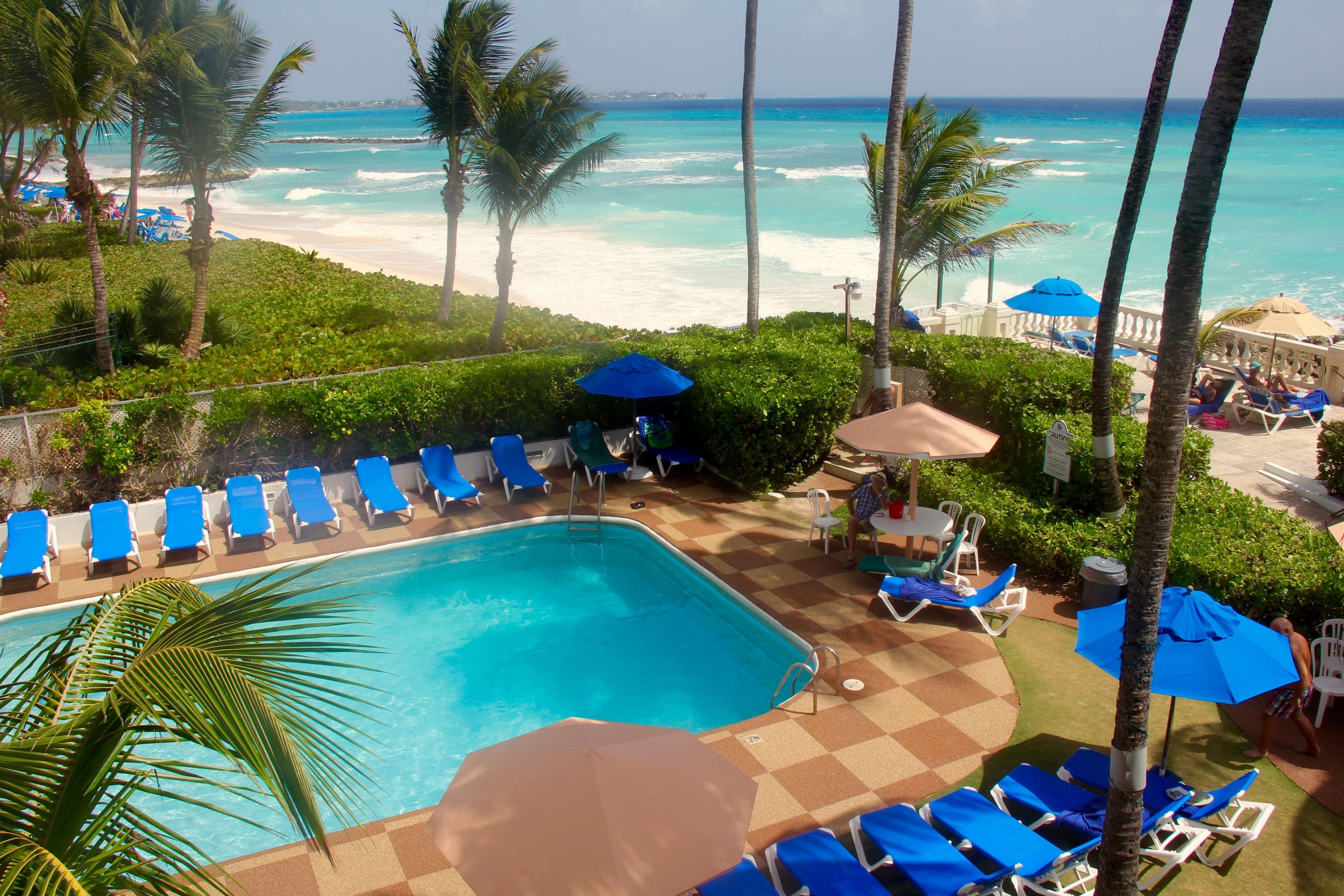 A pool area with blue lounge chairs and umbrellas, surrounded by palm trees and a view of the ocean.
