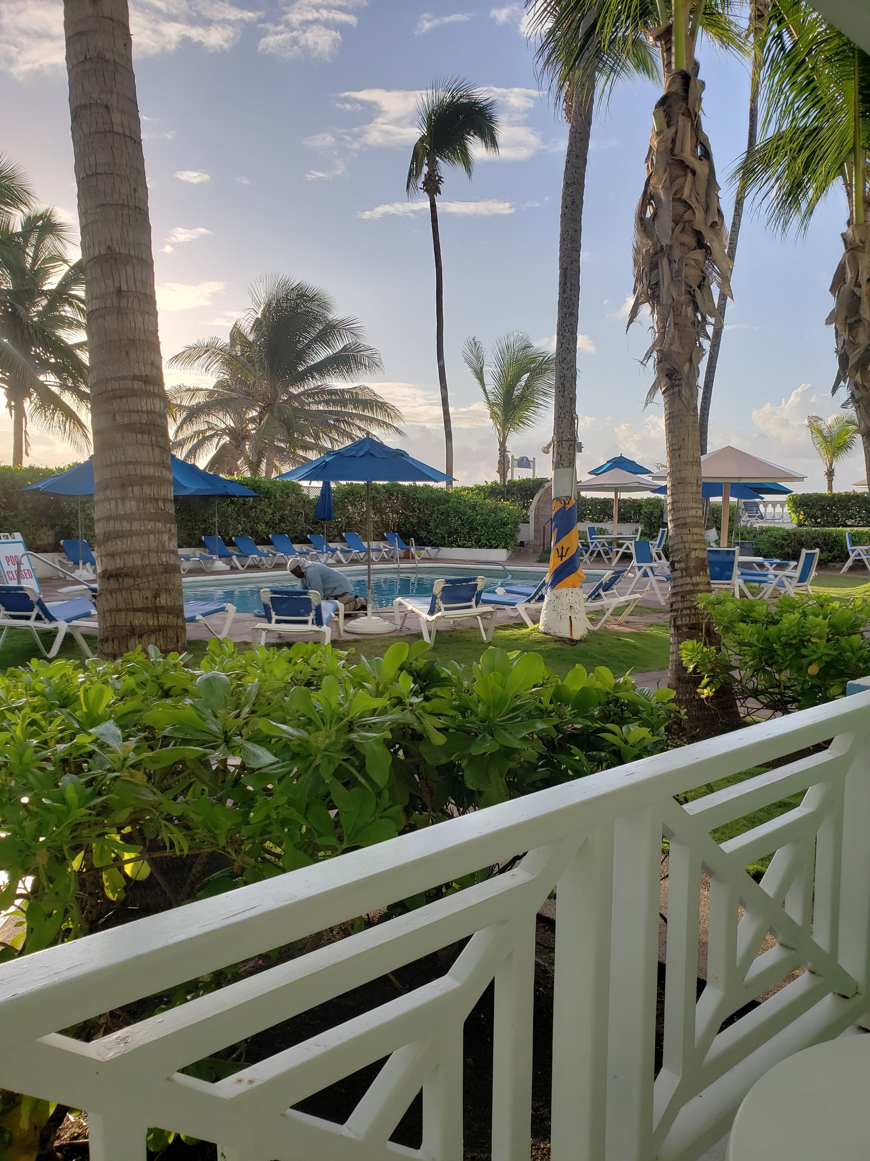 A poolside area with lounge chairs and umbrellas, surrounded by palm trees and greenery.