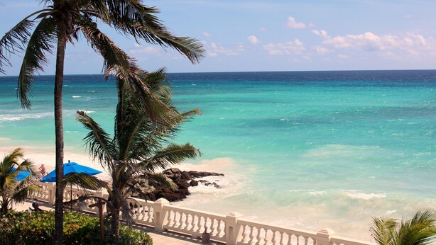 A beach view with a white balcony, palm trees, and a clear blue ocean. - Dover Beach Hotel (St. Lawrence Gap)