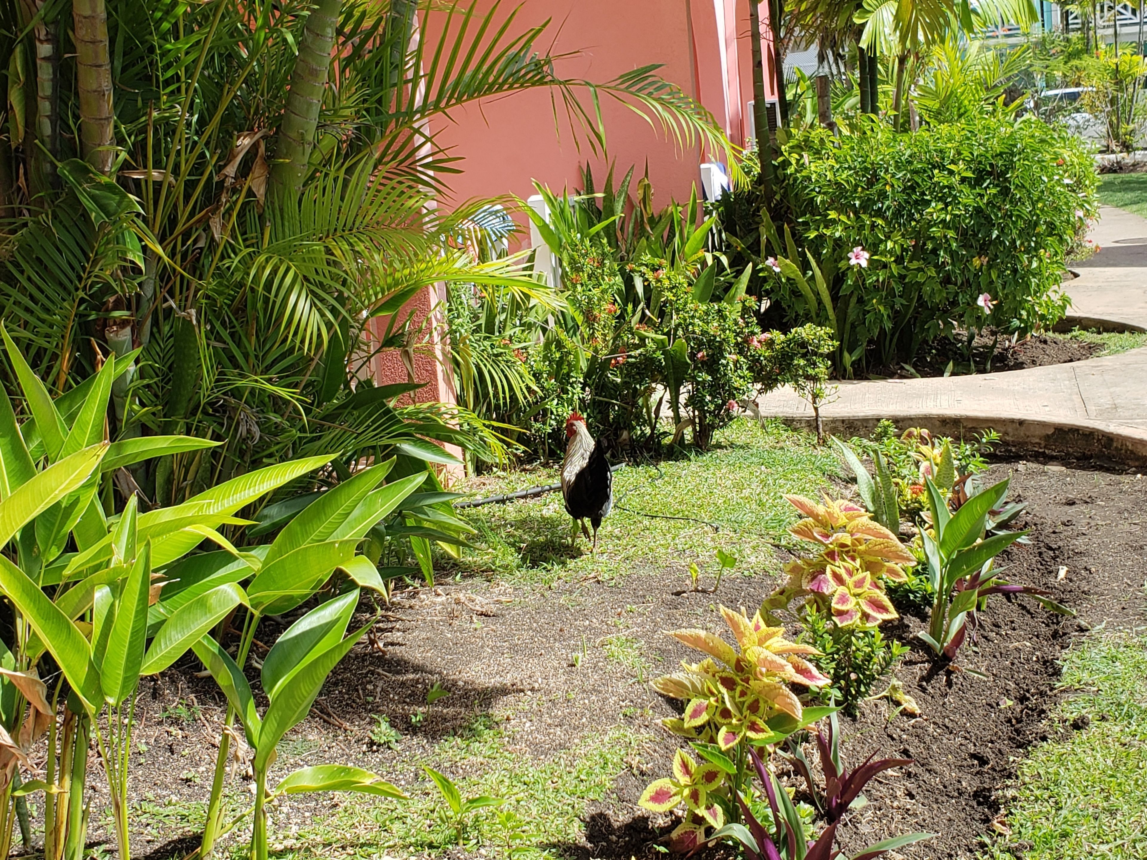 Foto - Dover Beach Hotel