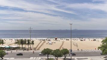 Vista da praia com palmeiras, uma estrada e céu claro.