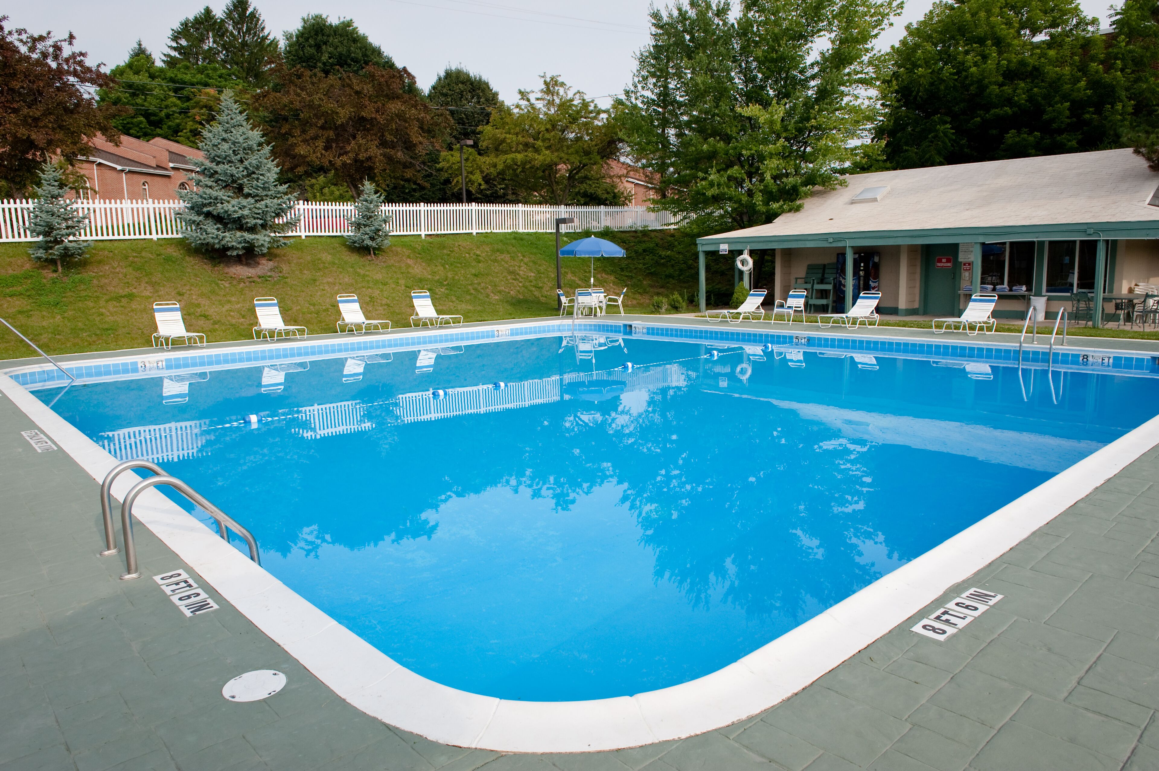 Una piscina rectangular amb un vorejador blanc, envoltada de gandules i una zona coberta amb un parasol blau.