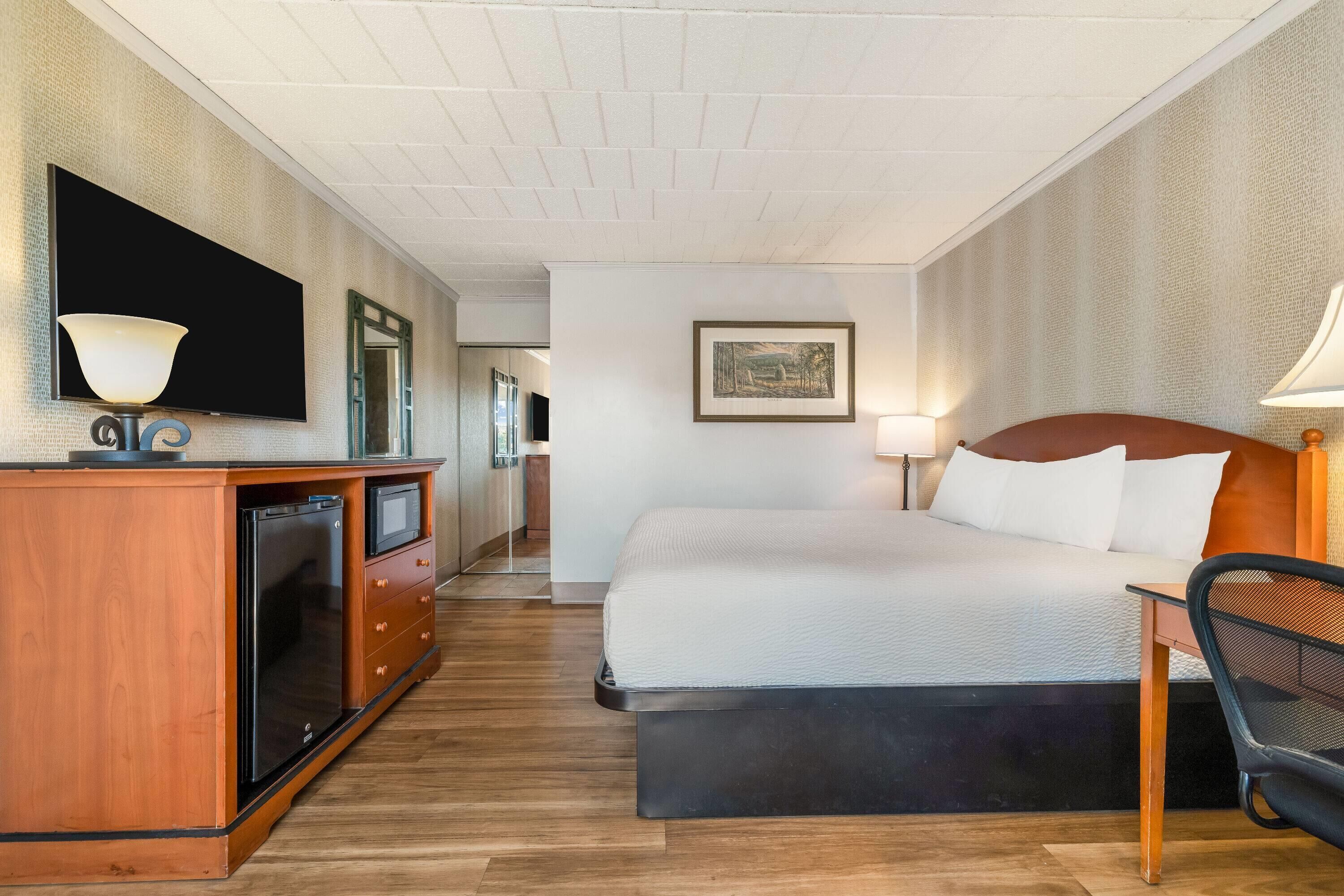 Una habitación de hotel con una cama, un escritorio, un televisor y un cuadro en la pared.