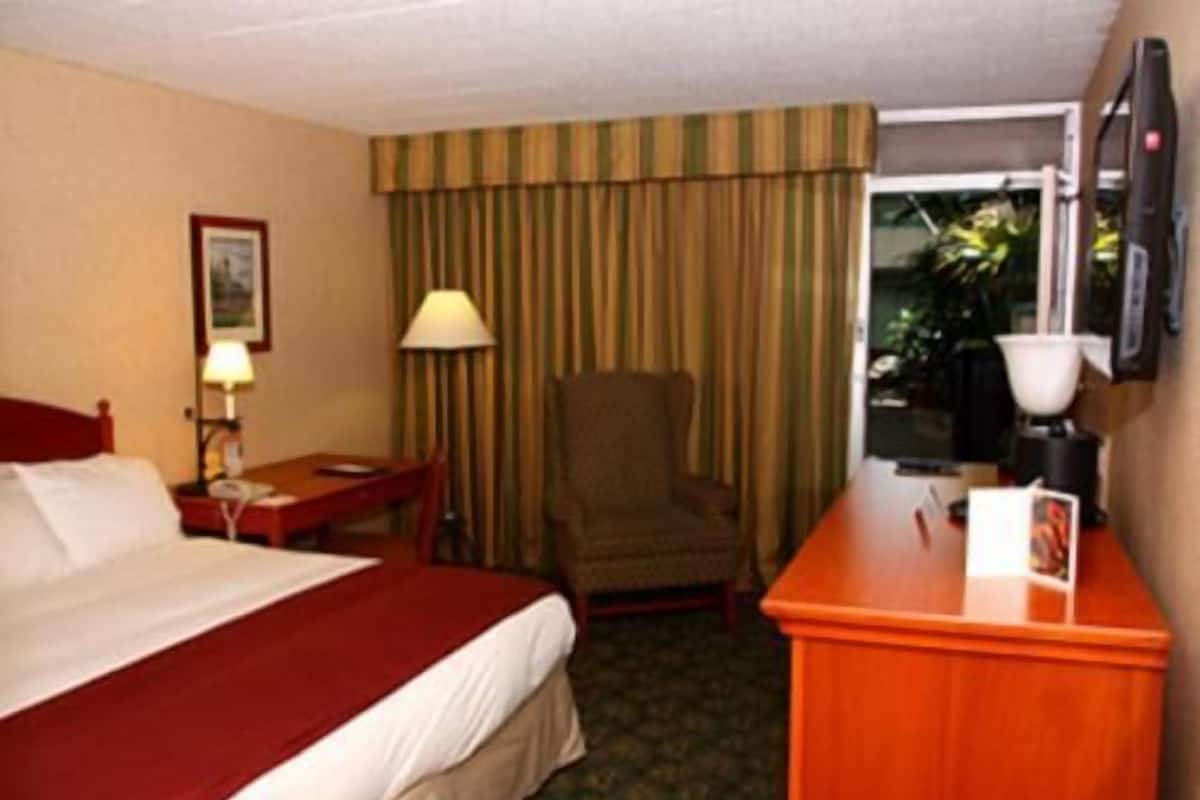 A hotel room with a bed, a desk, a chair, a lamp, a television, and a window with curtains.