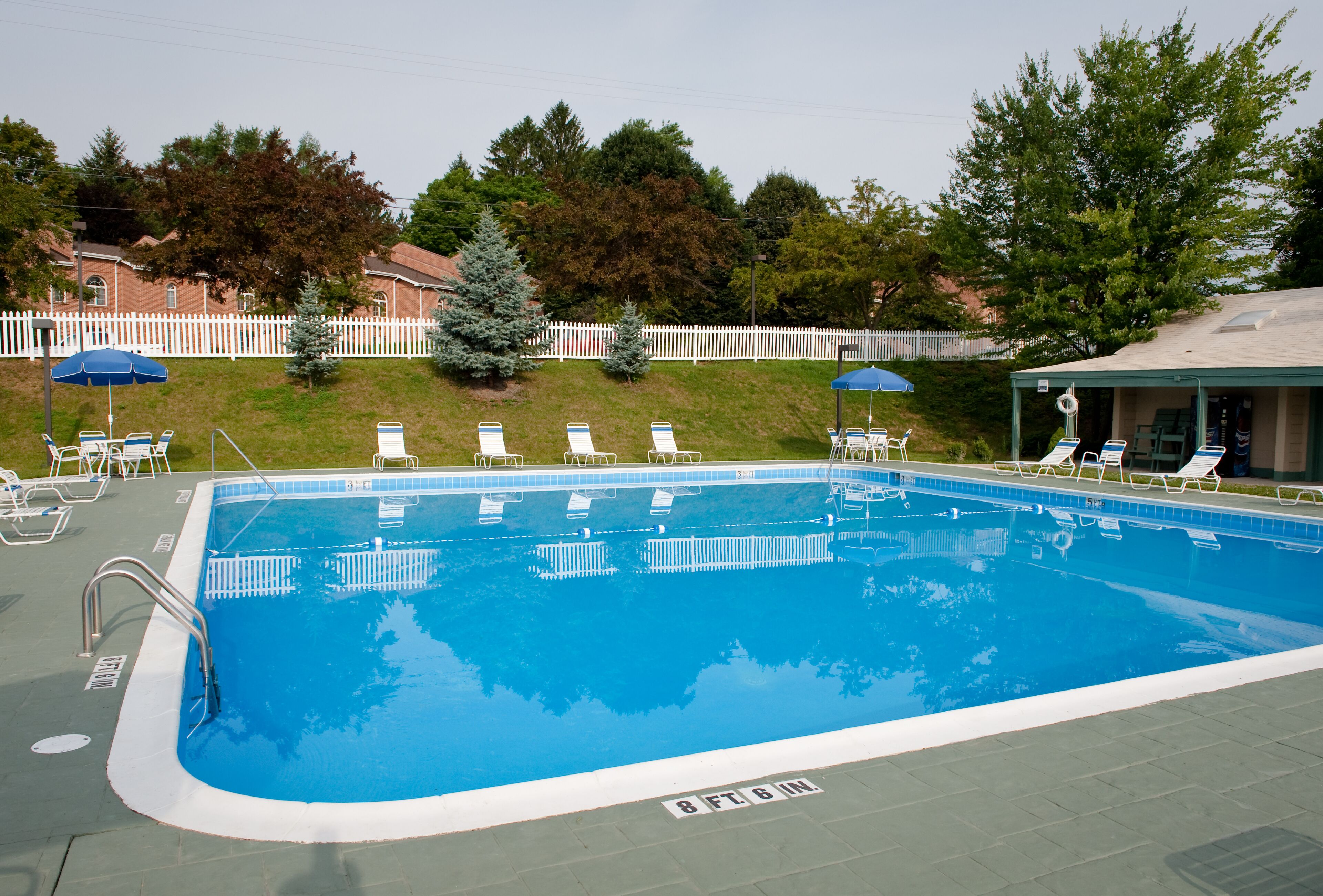 Une piscine rectangulaire bordée d’une margelle blanche, entourée de chaises longues et de parasols.