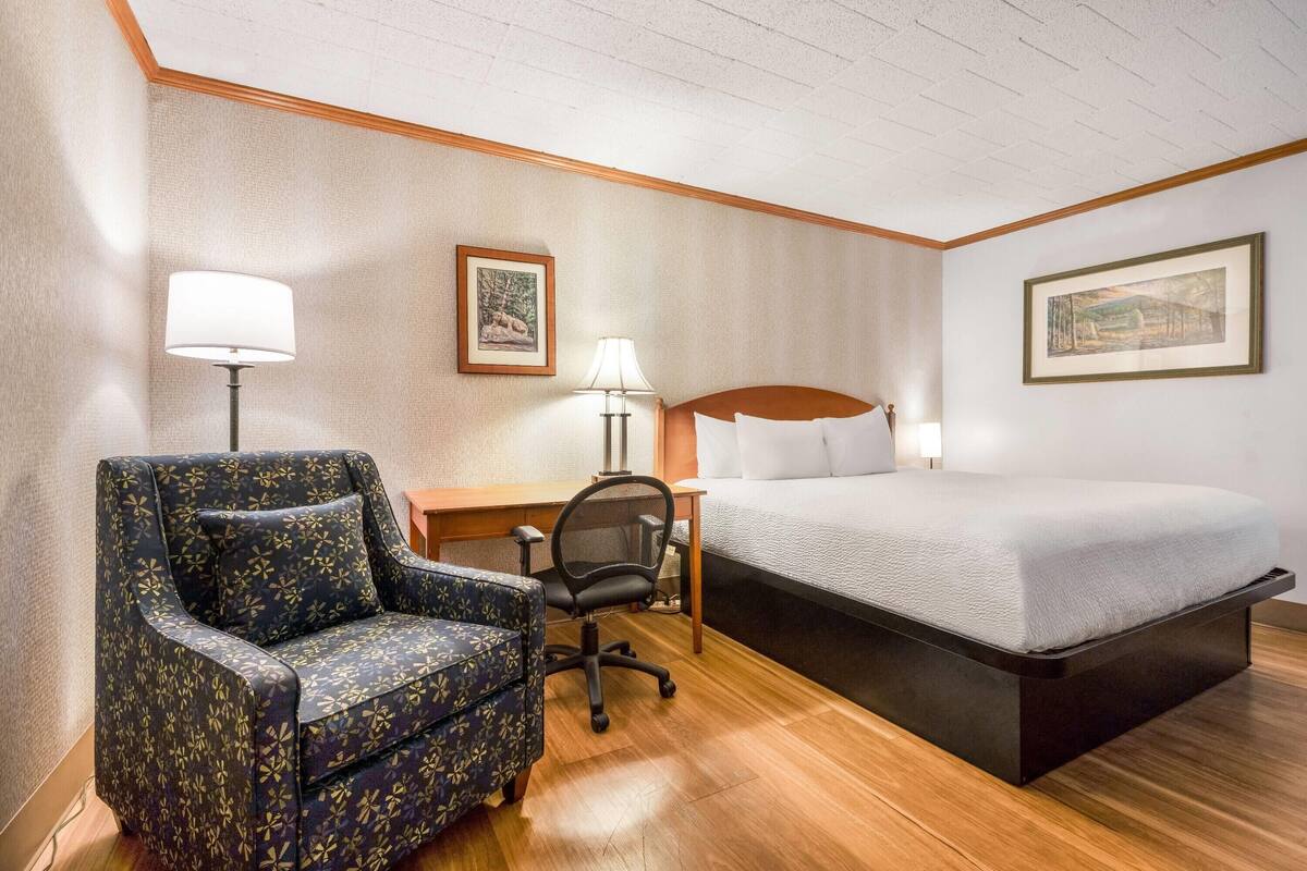 Room, 1 King Bed, Non Smoking, No Windows | Laptop workspace, iron/ironing board, cribs (free), WiFi (free)